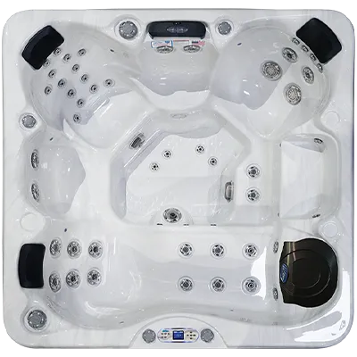 Avalon EC-849L hot tubs for sale in Plainfield