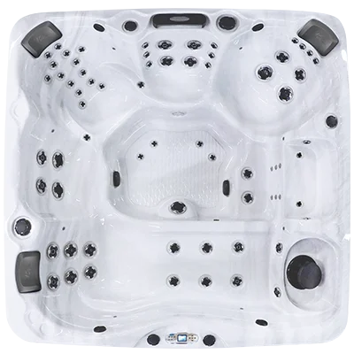Avalon EC-867L hot tubs for sale in Plainfield