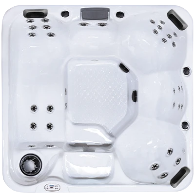 Hawaiian Plus PPZ-634L hot tubs for sale in Plainfield